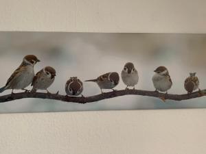 een groep vogels die op een tak zitten bij Ferienwohnung Lüttje Hörn in Emden