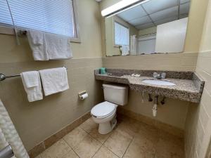 a bathroom with a toilet and a sink and a mirror at Economy Inn in East Hartford