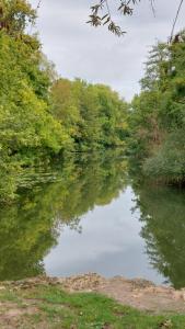 un bacino d’acqua con alberi sullo sfondo di Chalet FLEUVE avec Parking-Barbecue a Yerres