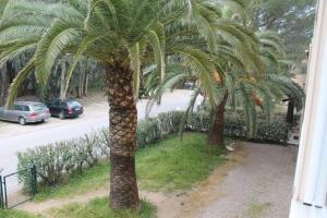 Jardí fora de T2 Calvi entierement équipé à 150m de la plage.