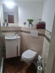 a bathroom with a toilet and a sink and a mirror at Ferienwohnung ADARO in Schleswig