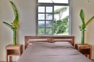 a bedroom with a bed and a window with two plants at Oceanfront 3-bedroom villa with spectacular view! in Calibishie