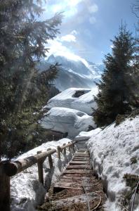 einen schneebedeckten Berg mit Bäumen und einem Zaun in der Unterkunft La Ribambelle in Chamonix-Mont-Blanc