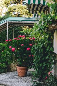 A garden outside Eveline Portosole Hotel