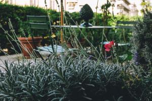 A garden outside Eveline Portosole Hotel