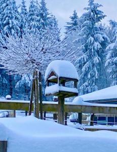 una foresta innevata con alberi e una recinzione di Landhotel Flora & Fauna a Winterberg