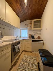 Liboria: lovely,cosy apartment. 2 min skilift walk廚房或簡易廚房