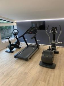 Fitnesscenter och/eller fitnessfaciliteter på Hotel Leon d'Oro