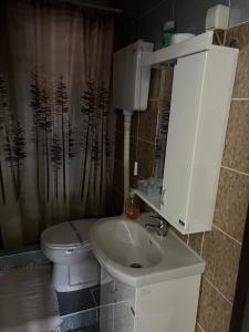 ein Badezimmer mit einem Waschbecken, einem WC und einem Duschvorhang in der Unterkunft Apartments Vila Brzi & Beka in Šabac