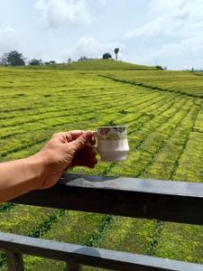 een persoon met een kopje koffie op een bankje bij Tea Estate view stay in Ooty