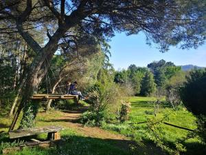 Um jardim em Pine Lodge - direct train to Porto