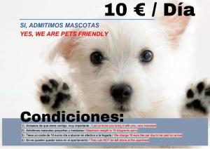 a magazine advertisement with a picture of a dog at www apartamentovaldivia es Parking incluido in León