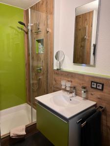 a bathroom with a sink and a shower at Ferienwohnung Kaufmann in Baiersbronn