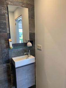 a bathroom with a sink and a mirror at Lovely 1-bedroom appartement Le Joyau with indoor pool and sauna in Lasne