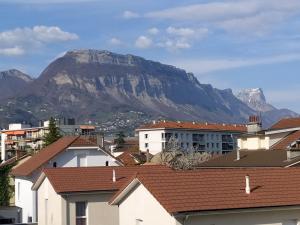 een berg op de achtergrond van een stad met huizen bij Chambres dans appartement partagé in Grenoble