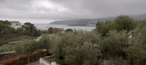 Blick auf einen Wasserkörper mit Häusern und Bäumen in der Unterkunft Casa Margot2 in Cadaqués