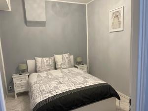 Кровать или кровати в номере Appartement hyper centre