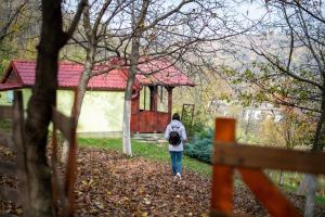 une personne se promenant sur un chemin vers un bâtiment dans l'établissement Holiday home Nanin konak 2, à Vrdnik