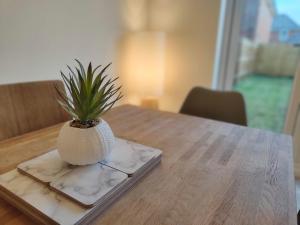 une plante en pot assise sur une table en bois dans l'établissement Saxon Corner: BRAND NEW 3 bedroom House, à Emsworth