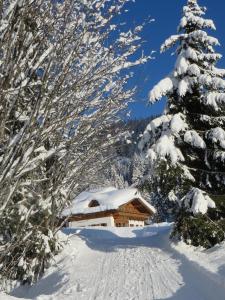 uma cabana na neve com árvores cobertas de neve em Gästehaus Gschwandtner em Mühlbach am Hochkönig