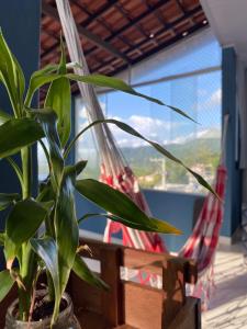 a plant in a pot next to a swing at Pé nas trilhas in Rio de Janeiro