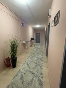 a corridor of an office with a carpet in a hallway at Privatzimmer Hammrich in Neudörfl