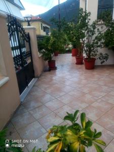 une cour avec des plantes en pot sur une maison dans l'établissement Delicatessen house, à Leonidio