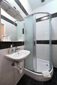 bagno con lavandino e doccia di Virtus Apartments and Rooms with Free Private Parking a Zagabria