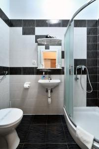 bagno con lavandino, servizi igienici e specchio di Virtus Apartments and Rooms with Free Private Parking a Zagabria