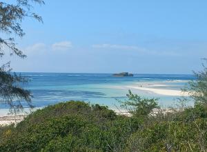 a view of a beach with the ocean at Watamu Beach Cottages in Watamu