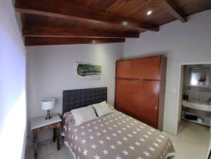 Schlafzimmer mit einem Bett, einem Schreibtisch und einem Waschbecken in der Unterkunft CORDOBA AEROPUERTO KEMPES QUORUM HOSPITAL ALLENDE PRIVADO Siglo XXI Universidad PASCAL Templo Mormon de Villa Belgrano in Cordoba