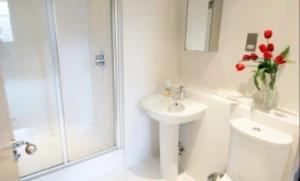 a bathroom with a sink and a toilet and a shower at Arena Apartment in Manchester