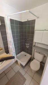 a small bathroom with a toilet and a shower at 972D6 - Kaymit - Studio 20m2 in Schœlcher