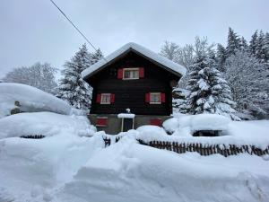 GuglielMotel през зимата