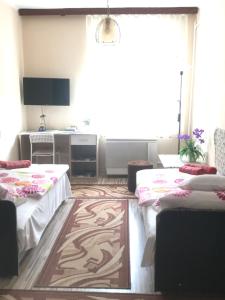 Televizors / izklaižu centrs naktsmītnē Melinda Apartman