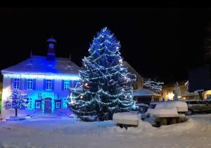 Objekt VILLARD DE LANS zimi