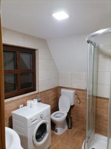 uma casa de banho com um WC e uma máquina de lavar roupa em Vila Vlajić 2015 em Gornje Pale