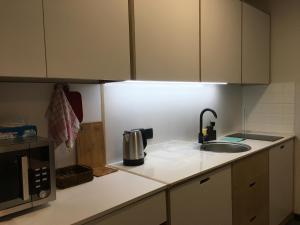 Apartment Kokhta-Mitarbi B3 408 주방 또는 간이 주방