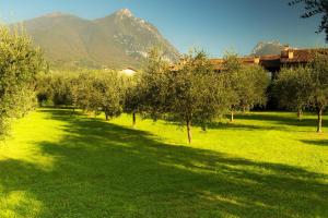 un campo alberato e una montagna sullo sfondo di Casa Gardenia a Toscolano Maderno