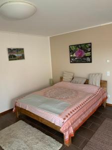 um quarto com uma cama grande num quarto em Wohlfühl-Apartment em Ettlingen