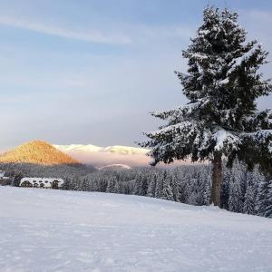 a snow covered tree in front of a snow covered mountain at Aparmánový dom Kamzík,Apartmán 42,Donovaly in Donovaly