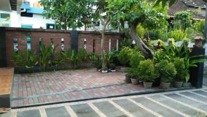 A garden outside Ngampilan Backpacker Hostel