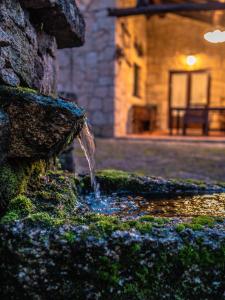 Jardí fora de Casa da Terra Nova - Gerês