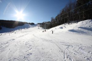 Pohorje Village Wellbeing Resort - Forest Apartments Videc في هوكو بوهوجري: مجموعة من الناس يتزحلق على منحدر مغطى بالثلج