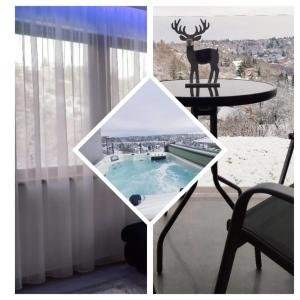 une table avec une photo de cerf dans une pièce dans l'établissement Gamma Apartmanok és Jakuzzi, à Miskolctapolca