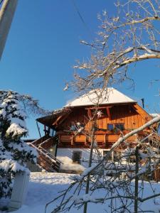 une cabane en rondins dans la neige dans l'établissement Landgasthof Plohnbachtal UG, à Abhorn