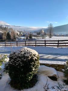 a bush covered in snow next to a fence at Appartement Aigner in Mauterndorf