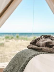 koc siedzący na łóżku blisko plaży w obiekcie Surflogiet Gotland w mieście Tofta