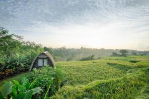 a small house in a field of grass at The Tetamian Bali in Sukawati