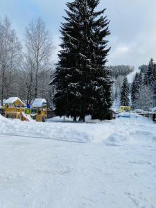 Apartmány Hromovka durante el invierno